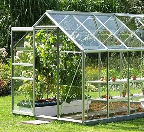 Your Green House Sanctuary with Polycarbonate Panels