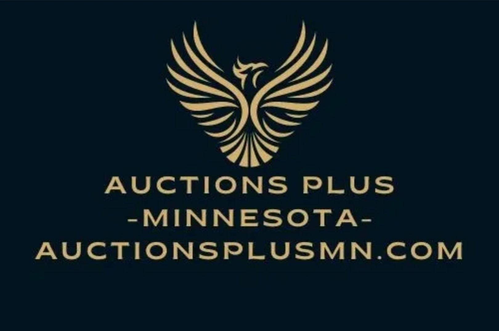 Auctioneer or Auction House Auctions Plus MN