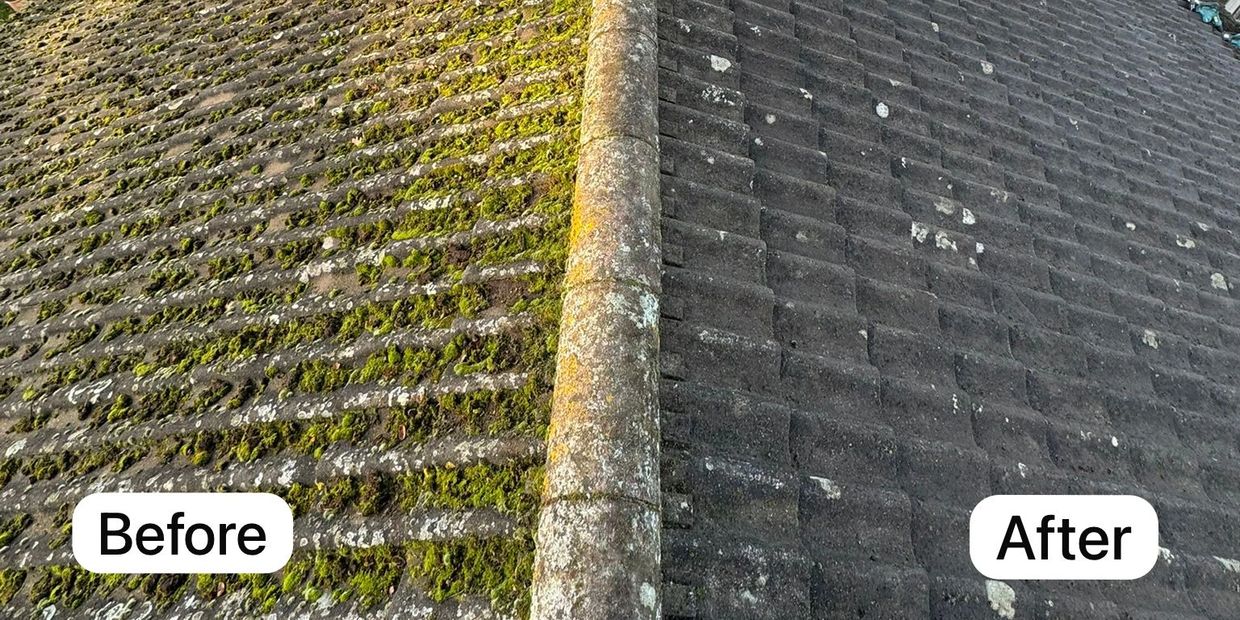 Before and after roof cleaning showing moss removal.