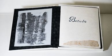Sylvie Michaud: Projet artistique livre Betula.