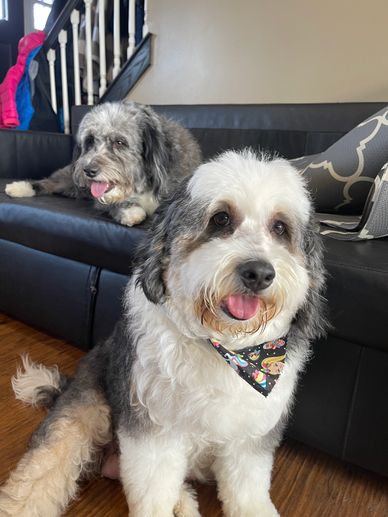 Bonnie our retired mmoms.