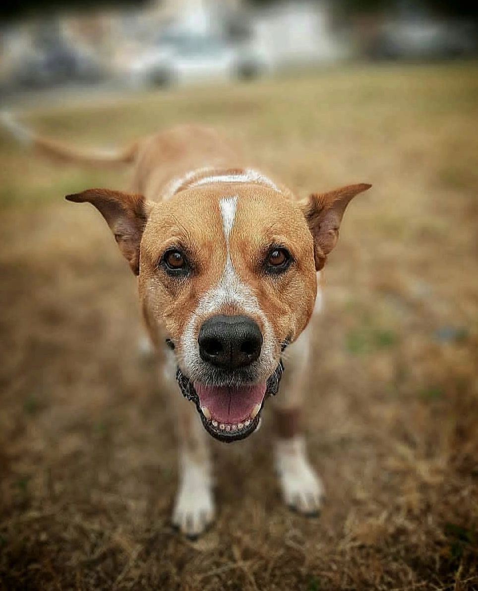 Meet our ambassador Avocado. 