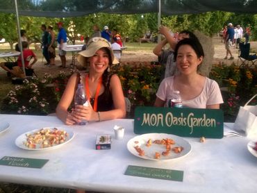 MOA Oasis Garden's table with stone fruit samples.