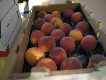 Fresh peaches in a packing box.