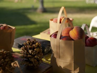 Take home bags of fresh stonefruit on a table.