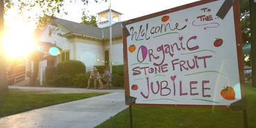 A poster "Welcome to the Organic Stone Fruit Jubilee" in front of the Historic Kingsburg Downtown.