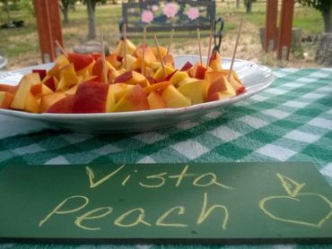 Vista Peach samples on a table.