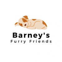 Barney's Furry Friends