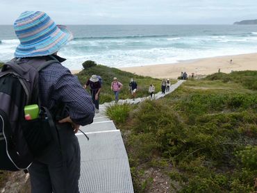 Person in blue hat overlooks hikers walking up a beachside path.