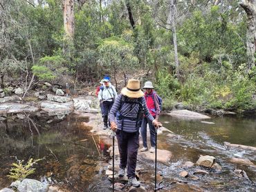 Three hikers crossing a shallow stream on stepping stones in a forest.