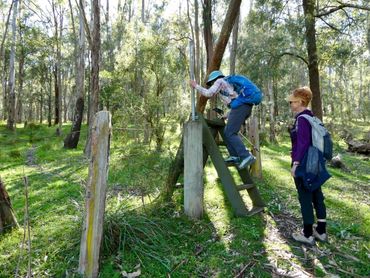 Two hikers crossing a wooden stile in a forest.