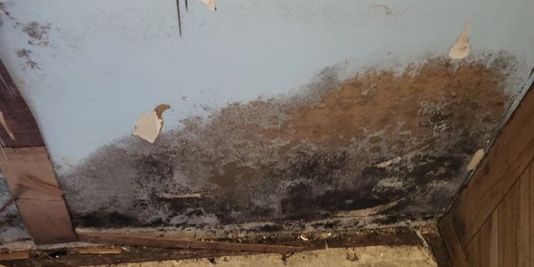 Mold growth can be tricky to find sometimes, and can be hidden behind places hard to see.