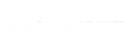 BLAQ CAPITAL GROUP