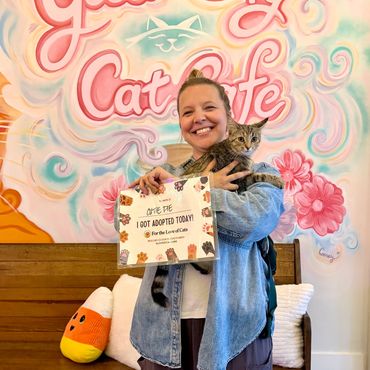 Woman holding a cat at a cat cafe celebrating adoption.