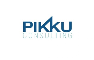 PIKKU Consulting