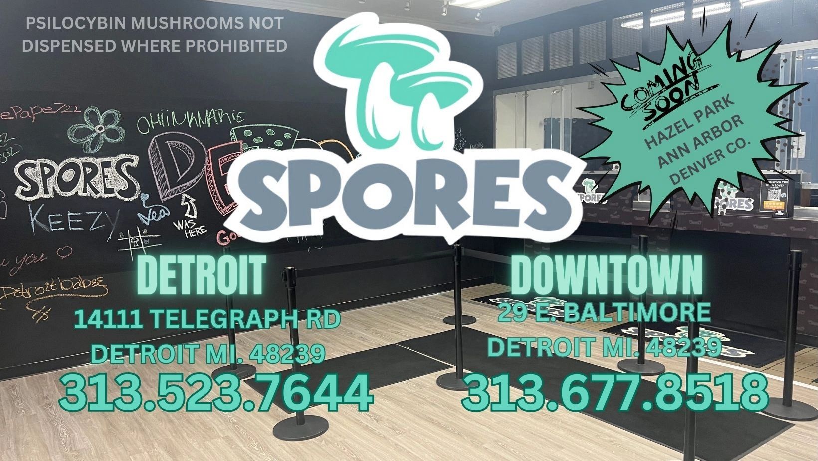 Spores LLC - Mushrooms, Mud Water, Cbd, Mushrooms