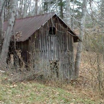 Old wooden shed with a rusty roof in a wooded area.