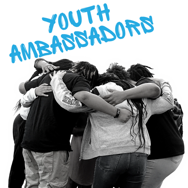 Home Youthambassadorskc Org
