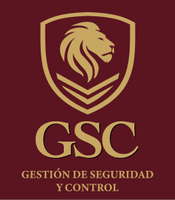SEGURIDAD GSC