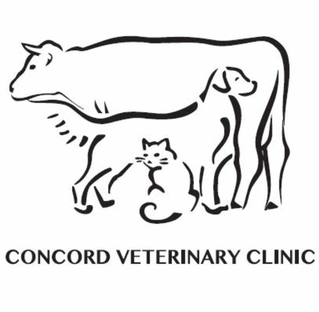 Concord Veterinary Clinic