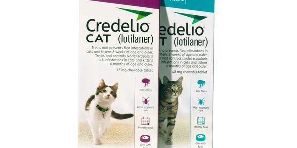 Credelio CAT flea and tick treatment for cats and kittens.