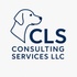 CLS Consulting Services LLC
