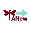 ANew Life Coach