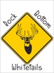 Rock Bottom Whitetails