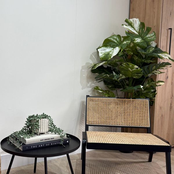 Chair and a table with books on, plant in background taken in studio. 