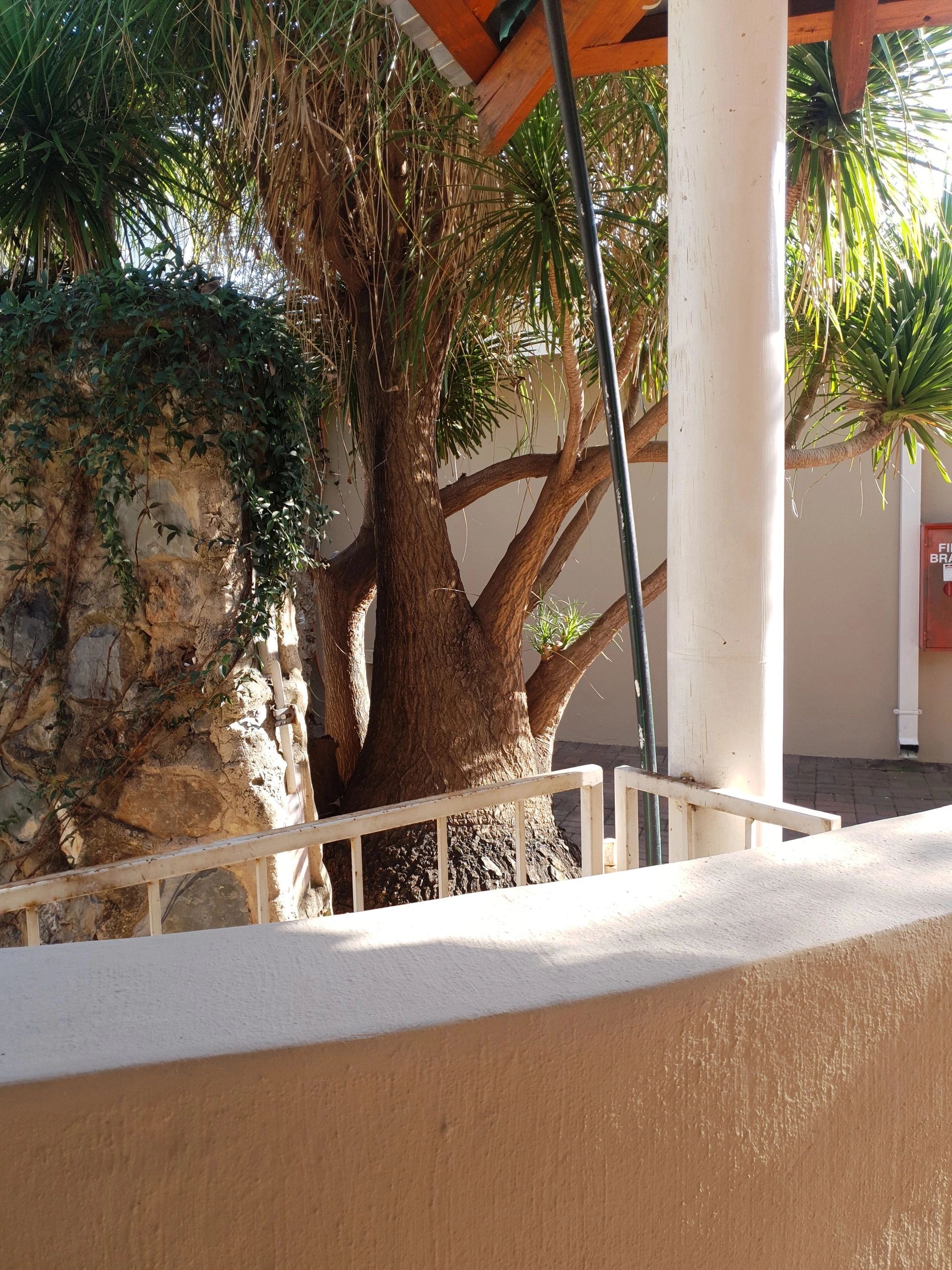 Backpacker South Africa Birchway's Backpackers