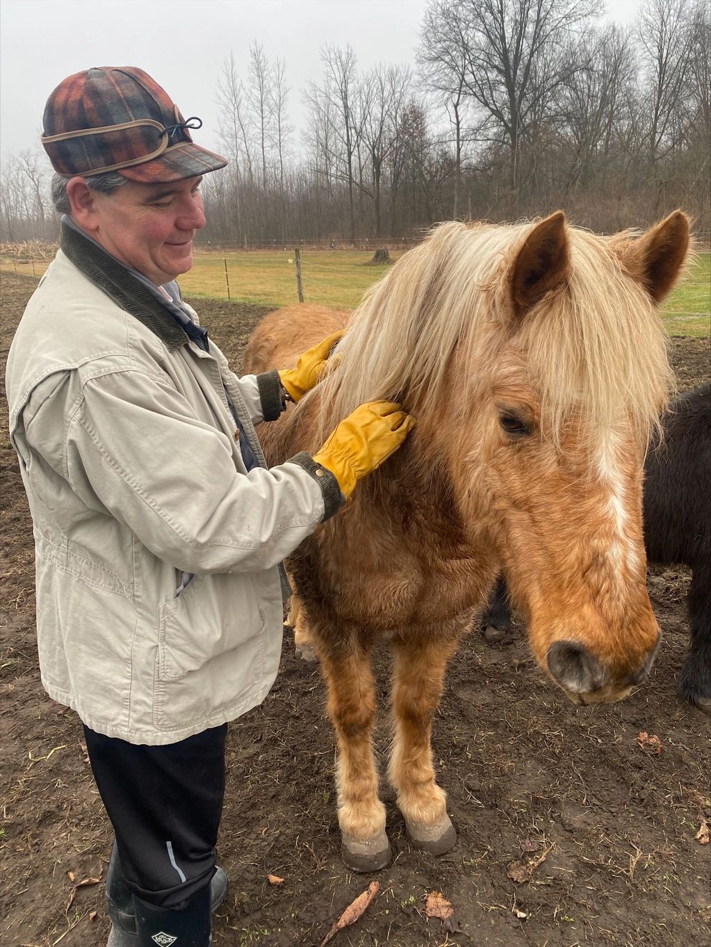 Adult receiving animal therapy programming with a horse.