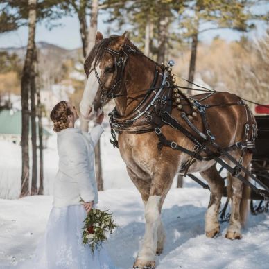 A bride gently touches a horse in a snowy forest setting.