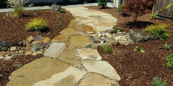 Stone pathway in a garden with mulch and plants.