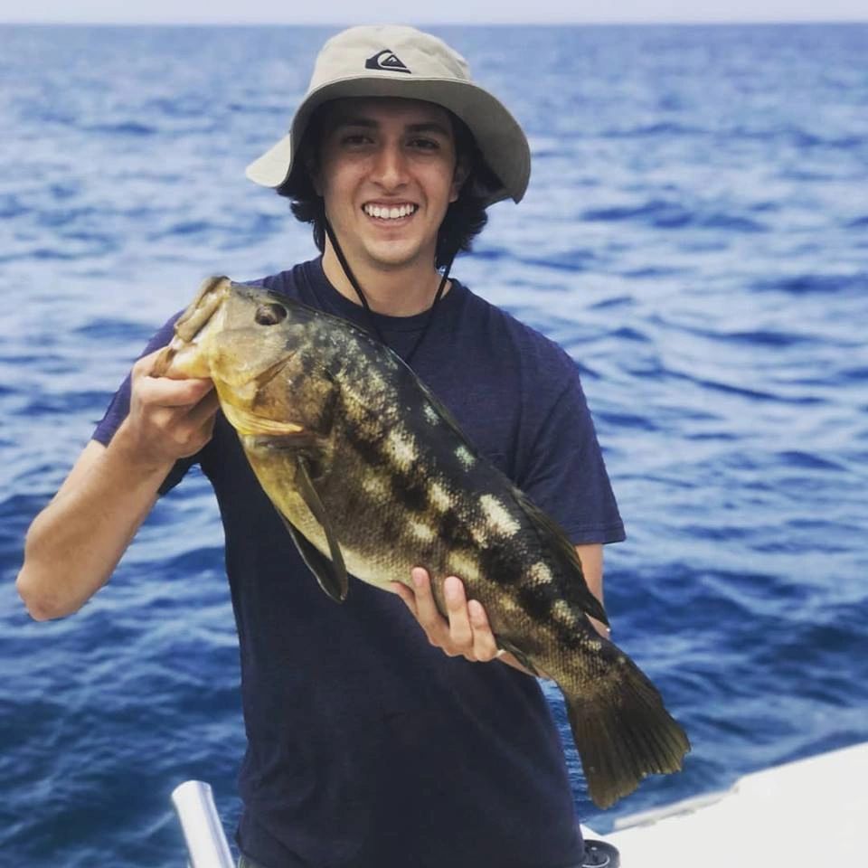 Bass, Barracuda, and Bonita (3 B's)