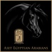 Aset Egyptian Arabians