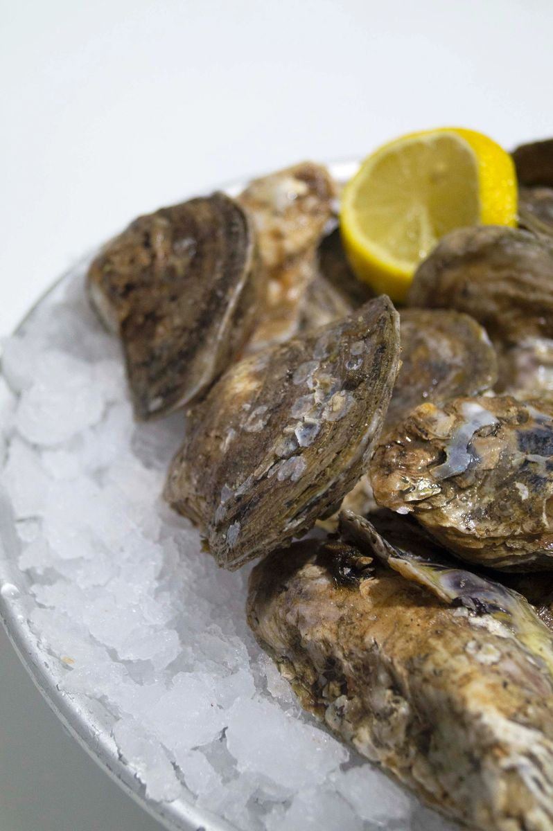 Blue Point Oysters