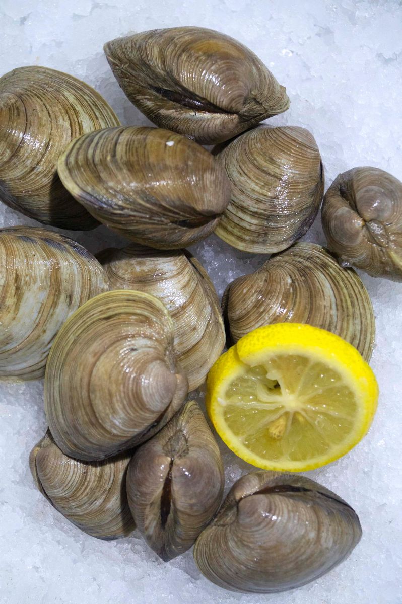 Middle Neck Clams