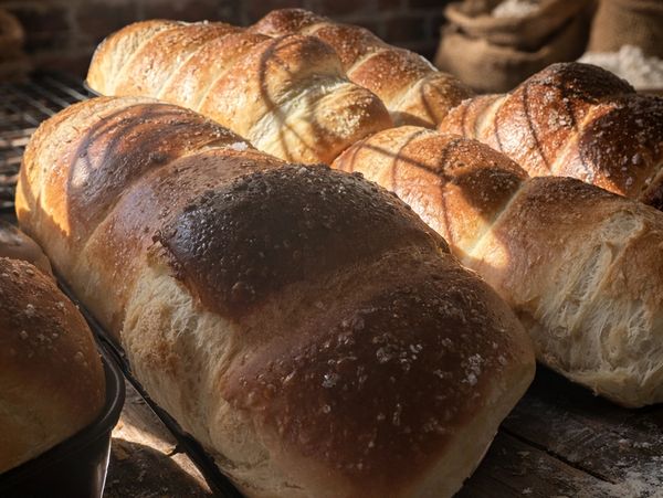 Freshly baked loaves of bread cooling on a rack in warm sunlight.