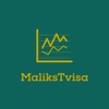 Maliks travels & visa services 