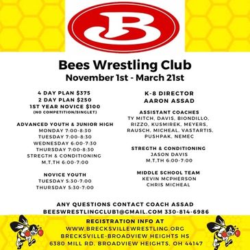 Brecksville Wrestling