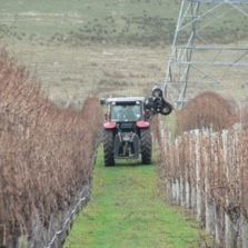 Vinepower New Zealand at work