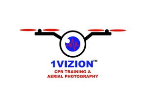 1Vizion LLC