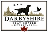 
Darbyshire 

Flat Coated Retrievers