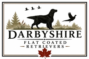 
Darbyshire 

Flat Coated Retrievers