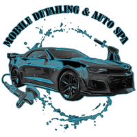 Mobile Detailing & Auto Spa