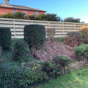 Ranch style fence along the boundary of clients garden.