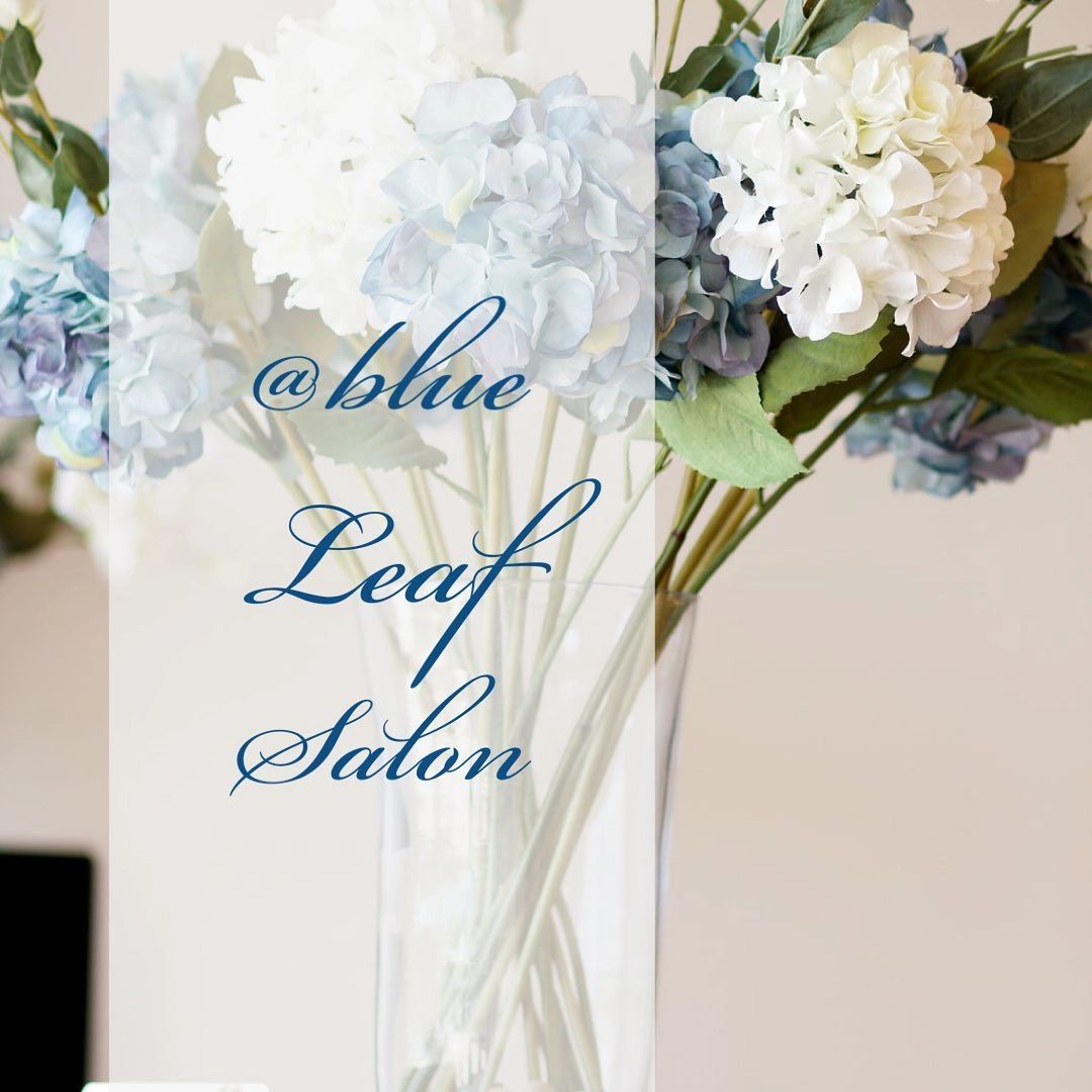Jacksonville Hair Salon - Blue Leaf Salon
