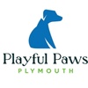 Playful Paws Plymouth