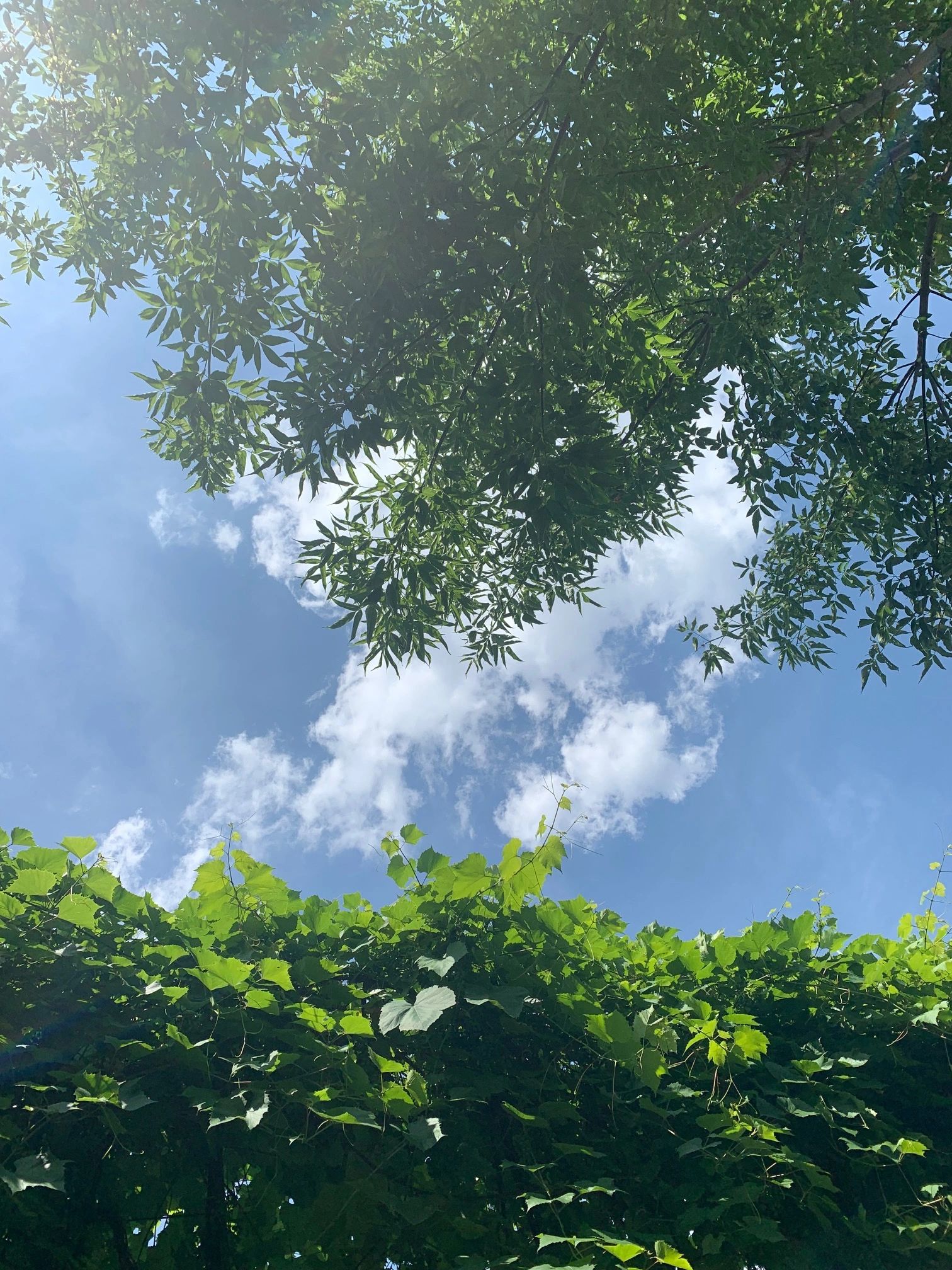 Dr Burgess GPPsychotherapist