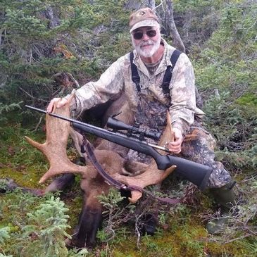 Moose and Bear Hunting in Newfoundland